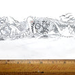 Load image into Gallery viewer, Radical Rick vs. the Giant Squid - ORIGINAL ILLUSTRATION